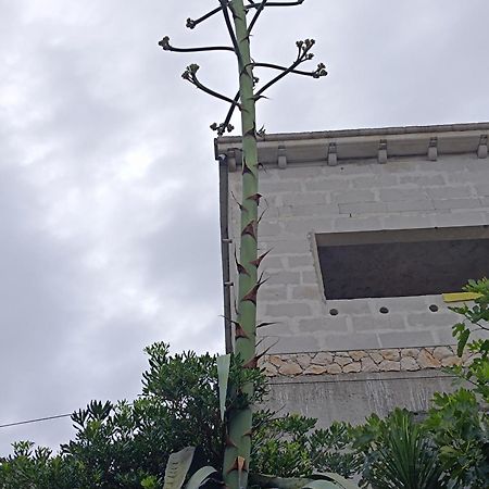 Apartmarin Trogir Buitenkant foto