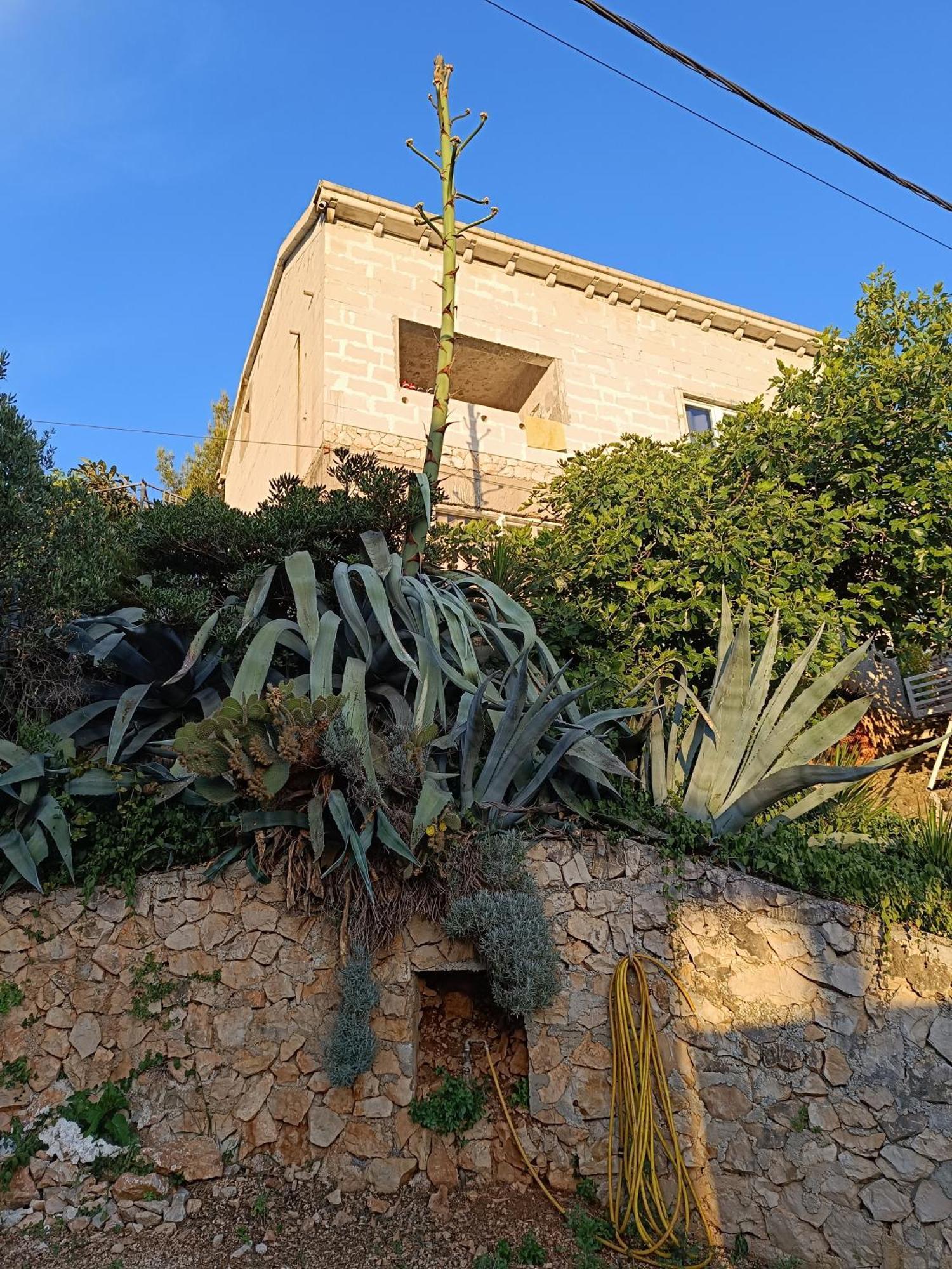 Apartmarin Trogir Buitenkant foto